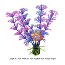 Ceratophylum Foxtail Mini